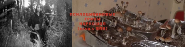 ешки Беломорск