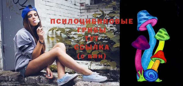 ECSTASY Богданович