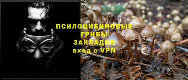ALPHA PVP Семёнов