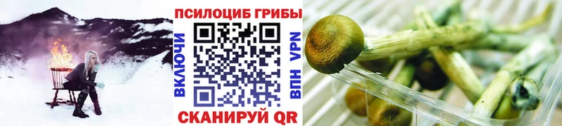 Галлюциногенные грибы GOLDEN TEACHER  даркнет сайт  Сусуман 
